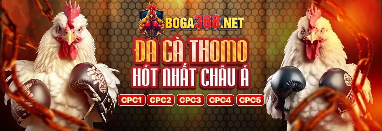 Tải Ứng Dụng dk68