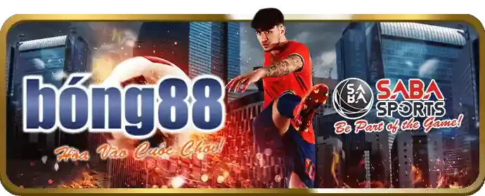 Giới thiệu chương trình VIP dk68